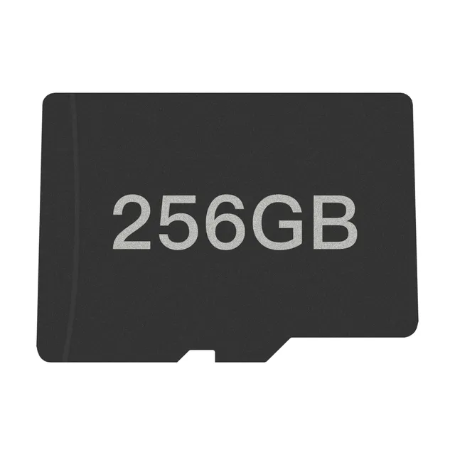 carte-microsd-256go-pour-ayn-odin image 1