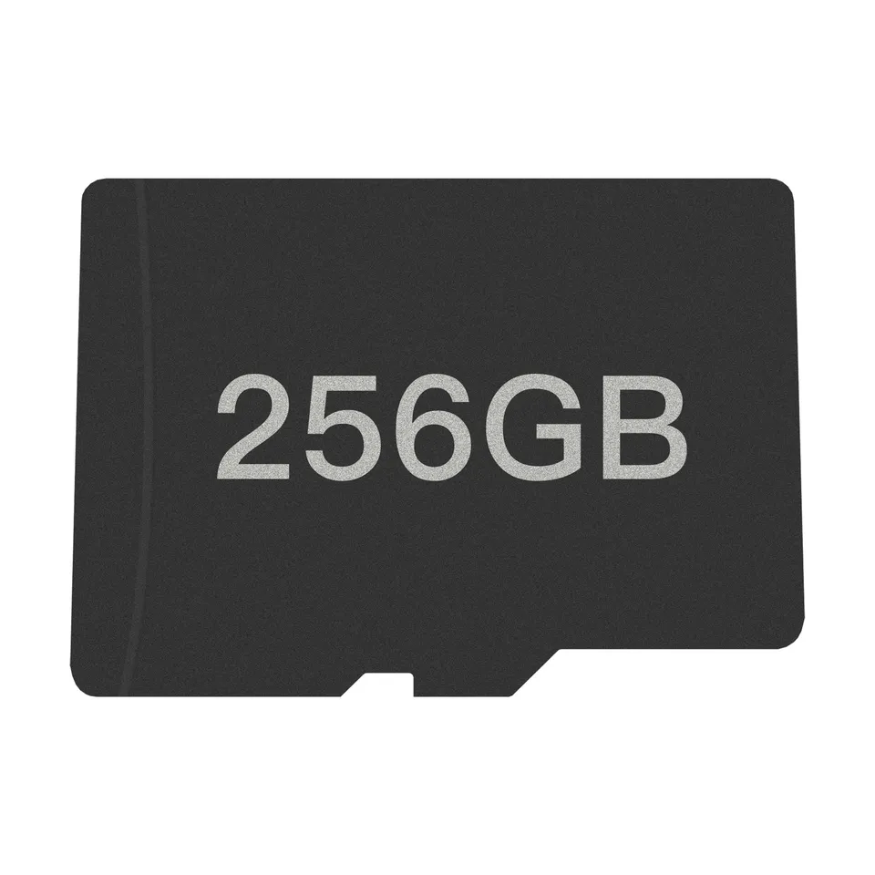 carte-microsd-256go-pour-ayn-odin image 1