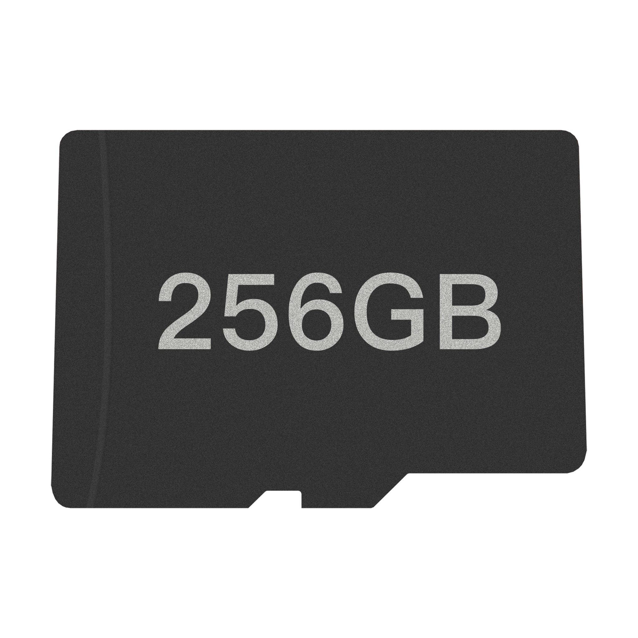 carte-microsd-256go-pour-ayn-odin image 1